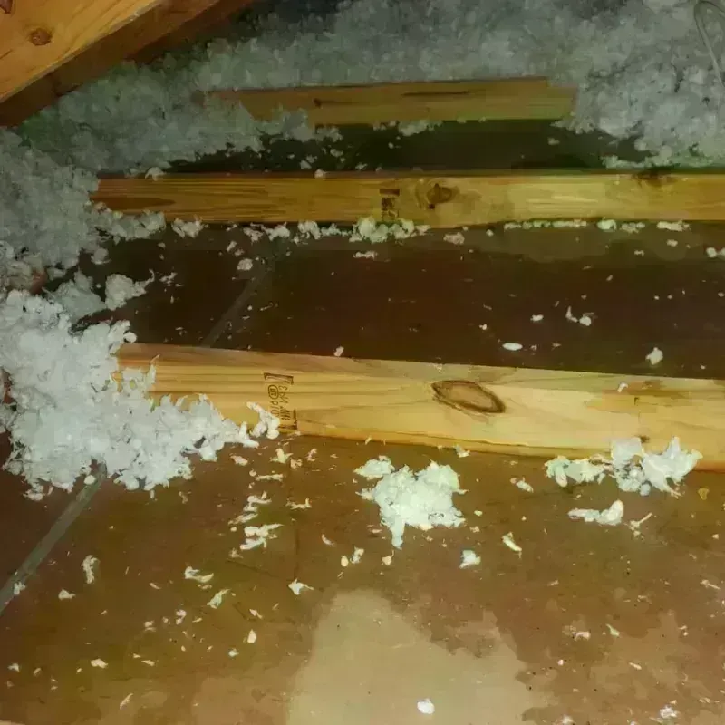 Attic Water Damage in Charles City, VA