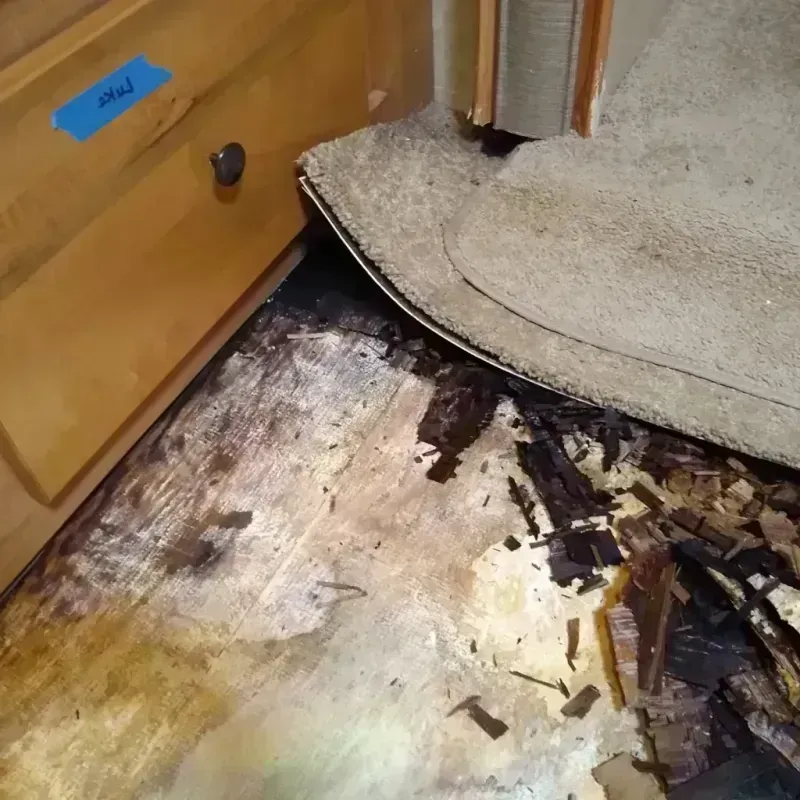 Wood Floor Water Damage in Charles City, VA